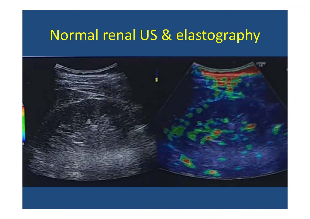 638a7912754fd71b6b1909dda231ab02_1604981491_3454.jpg